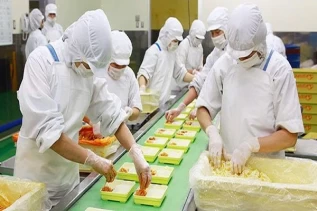 FORWARD Corporation (Japan) is hiring workers