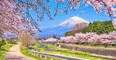 The basic requirements for working in Japan under the labor export program